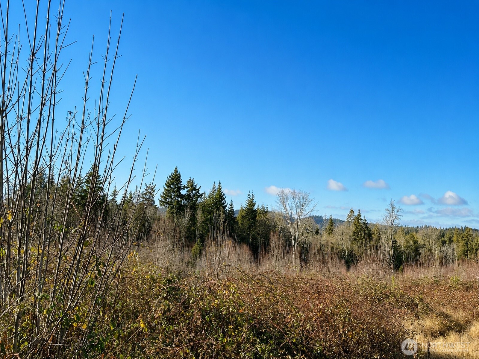 12426 Ne Phillip Drive Property Photo 18
