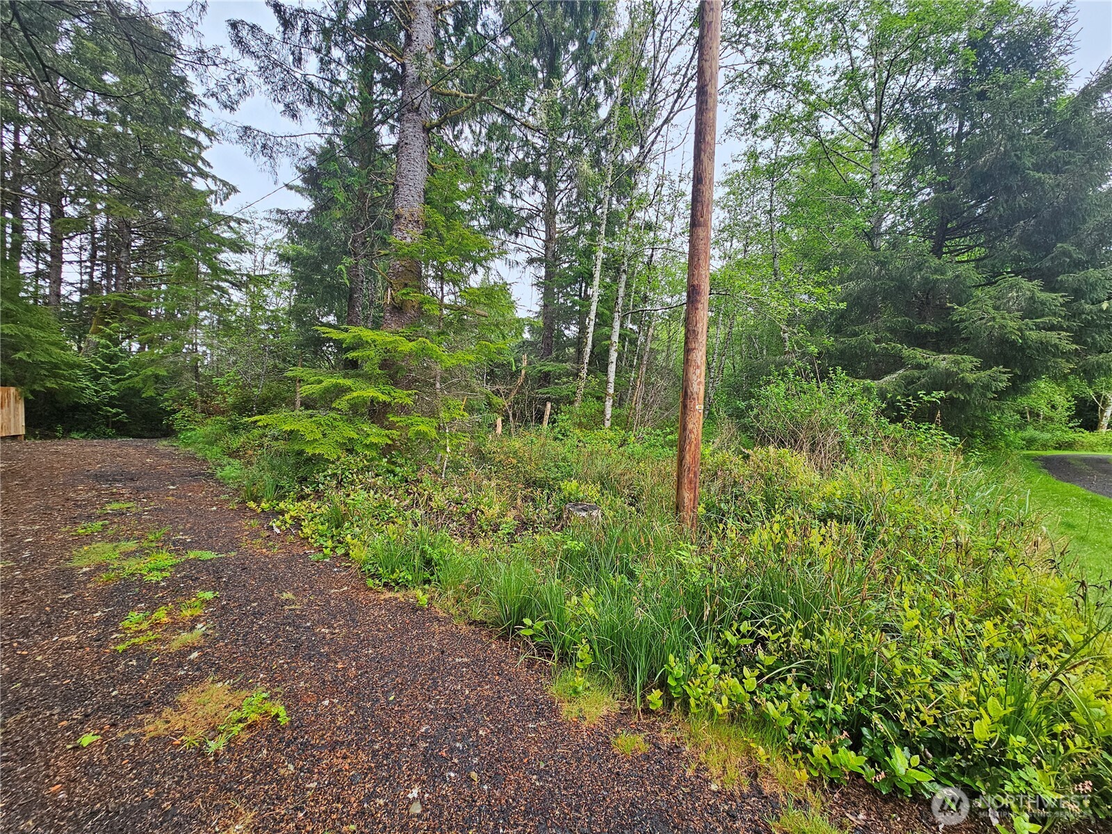 0 Patricia Drive Property Photo 2