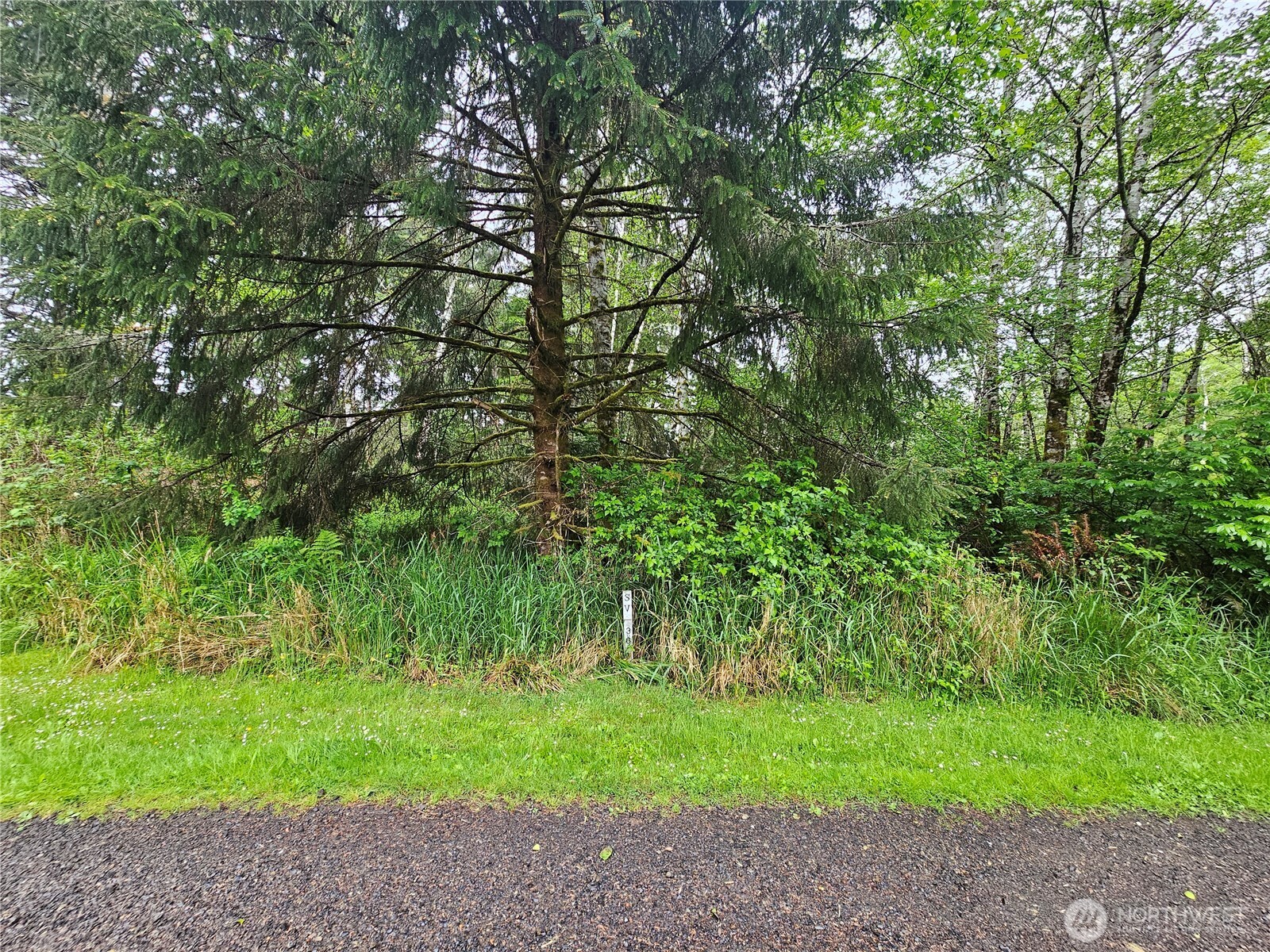 0 Patricia Drive Property Photo 3