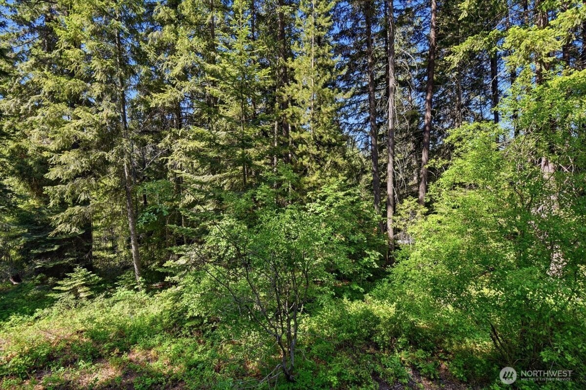 2486 Chiwawa Loop Road Property Photo 17