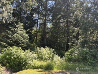 0 441st Avenue Property Photo 2