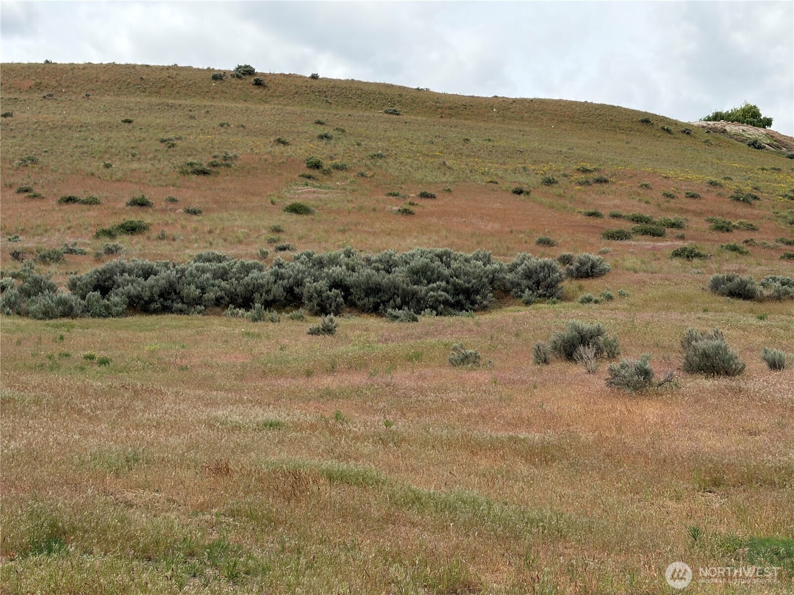 0 Adobe Way Property Photo 1