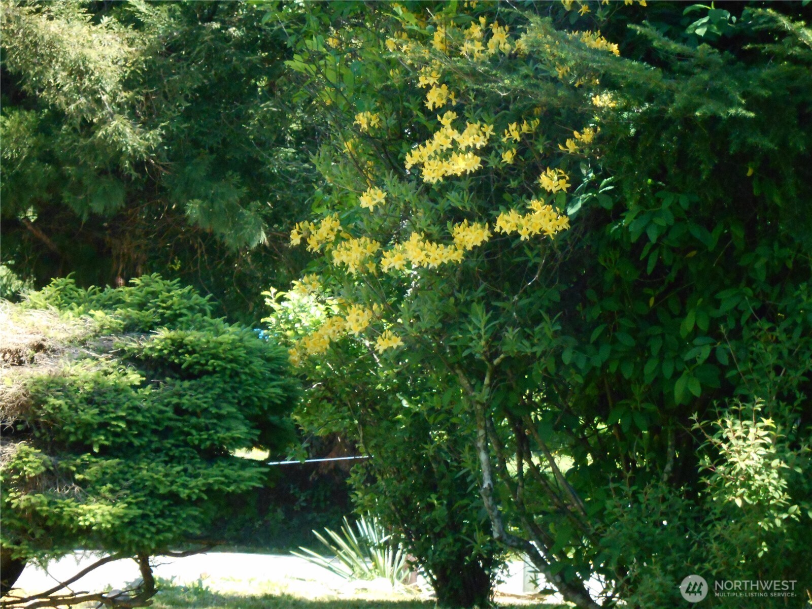 170 Kelly Road Property Photo 12