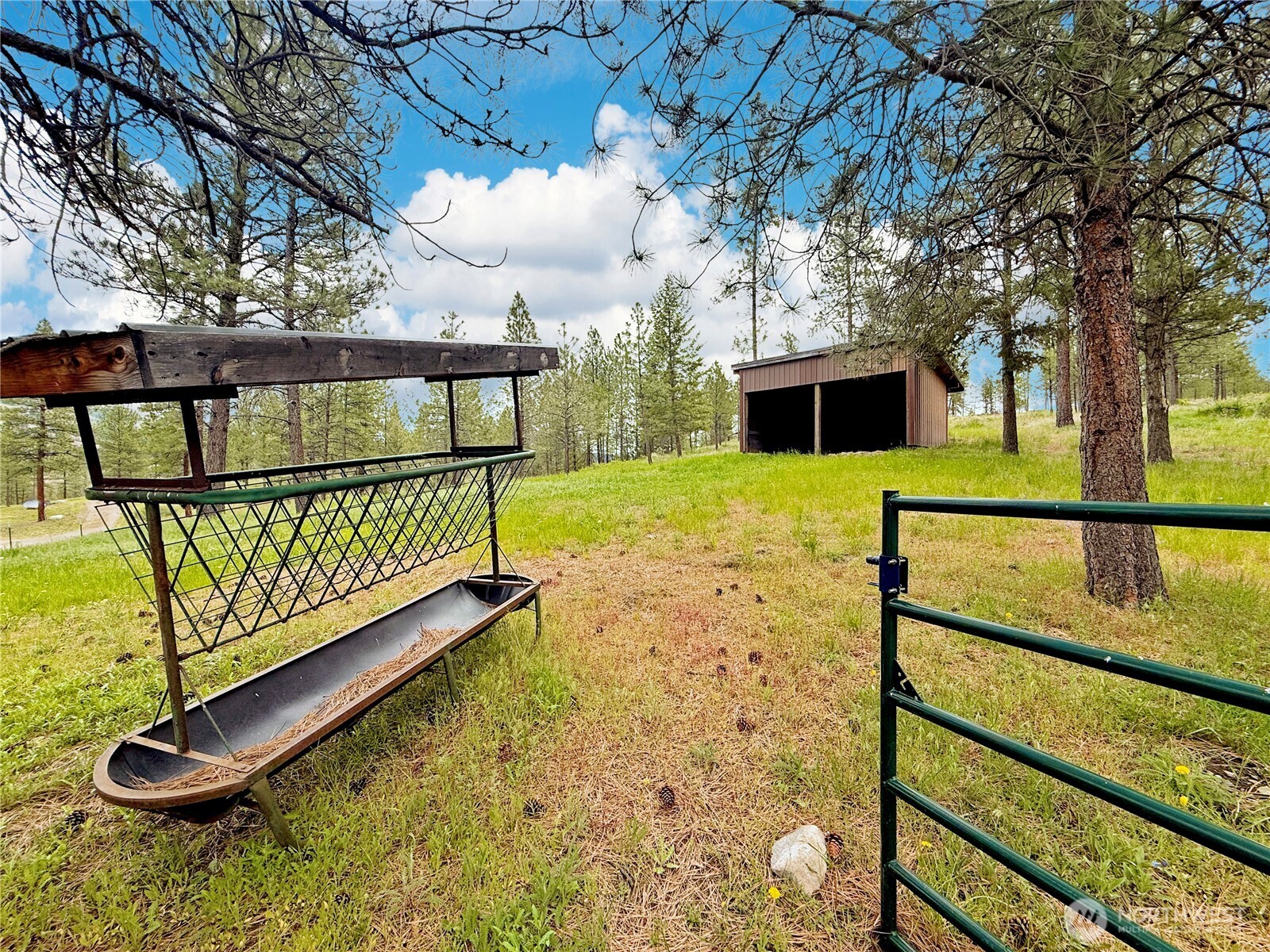 1942 Lyman Lake-moses Meadows Road Property Photo 23