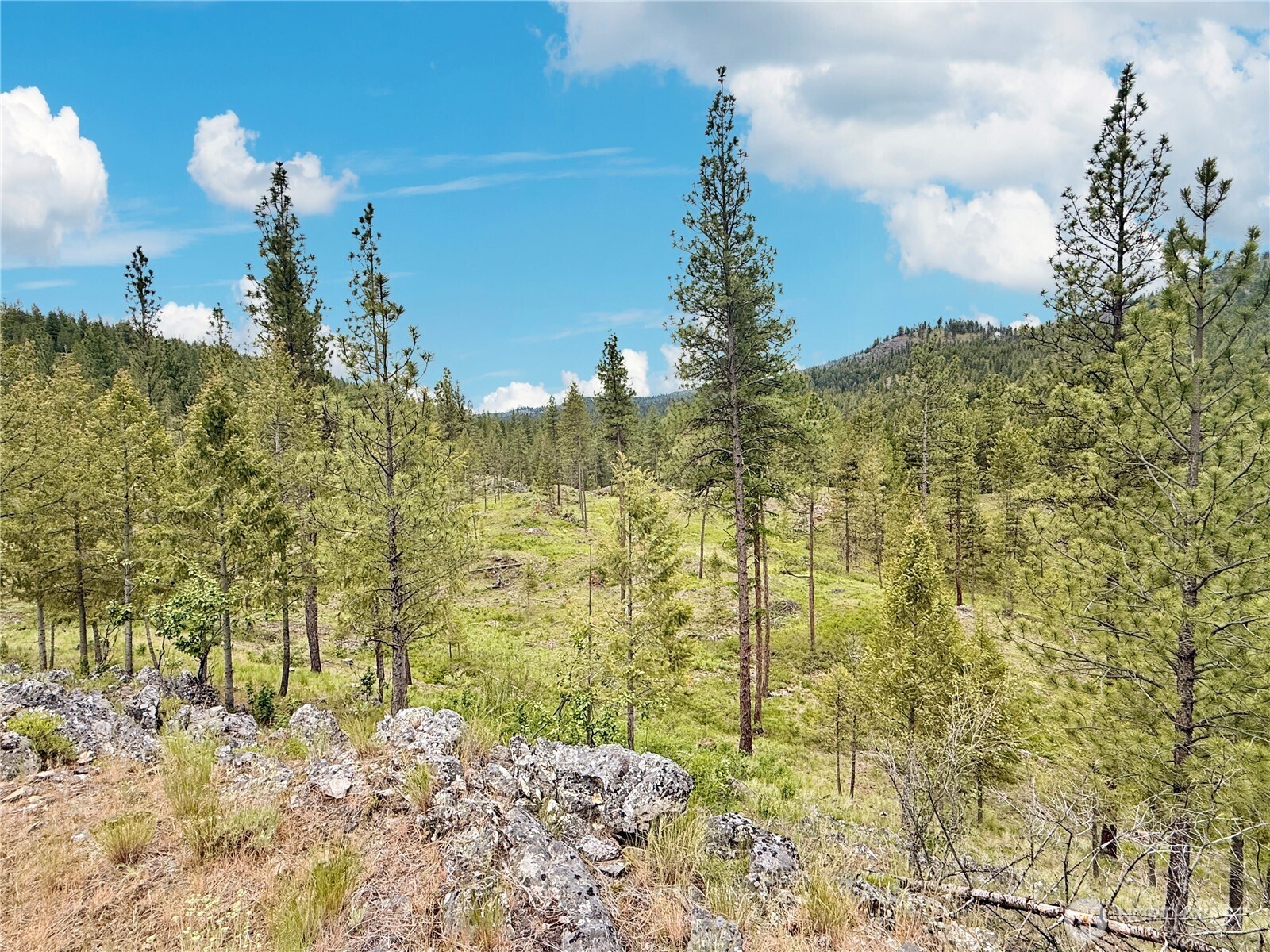 1942 Lyman Lake-moses Meadows Road Property Photo 28