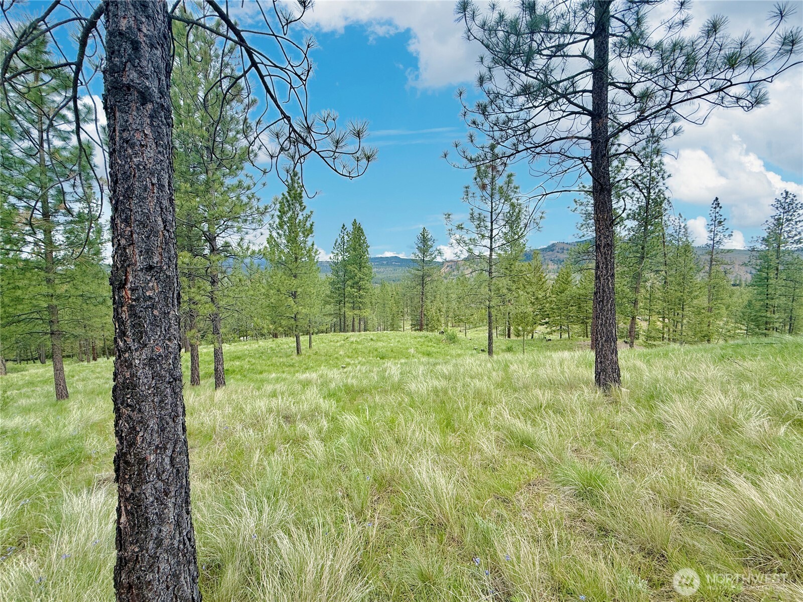 1942 Lyman Lake-moses Meadows Road Property Photo 36