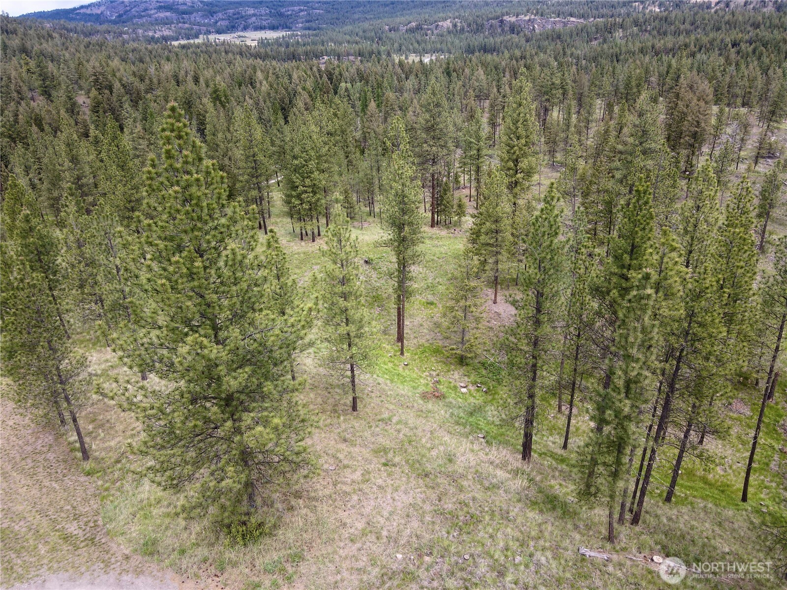 1942 Lyman Lake-moses Meadows Road Property Photo 38