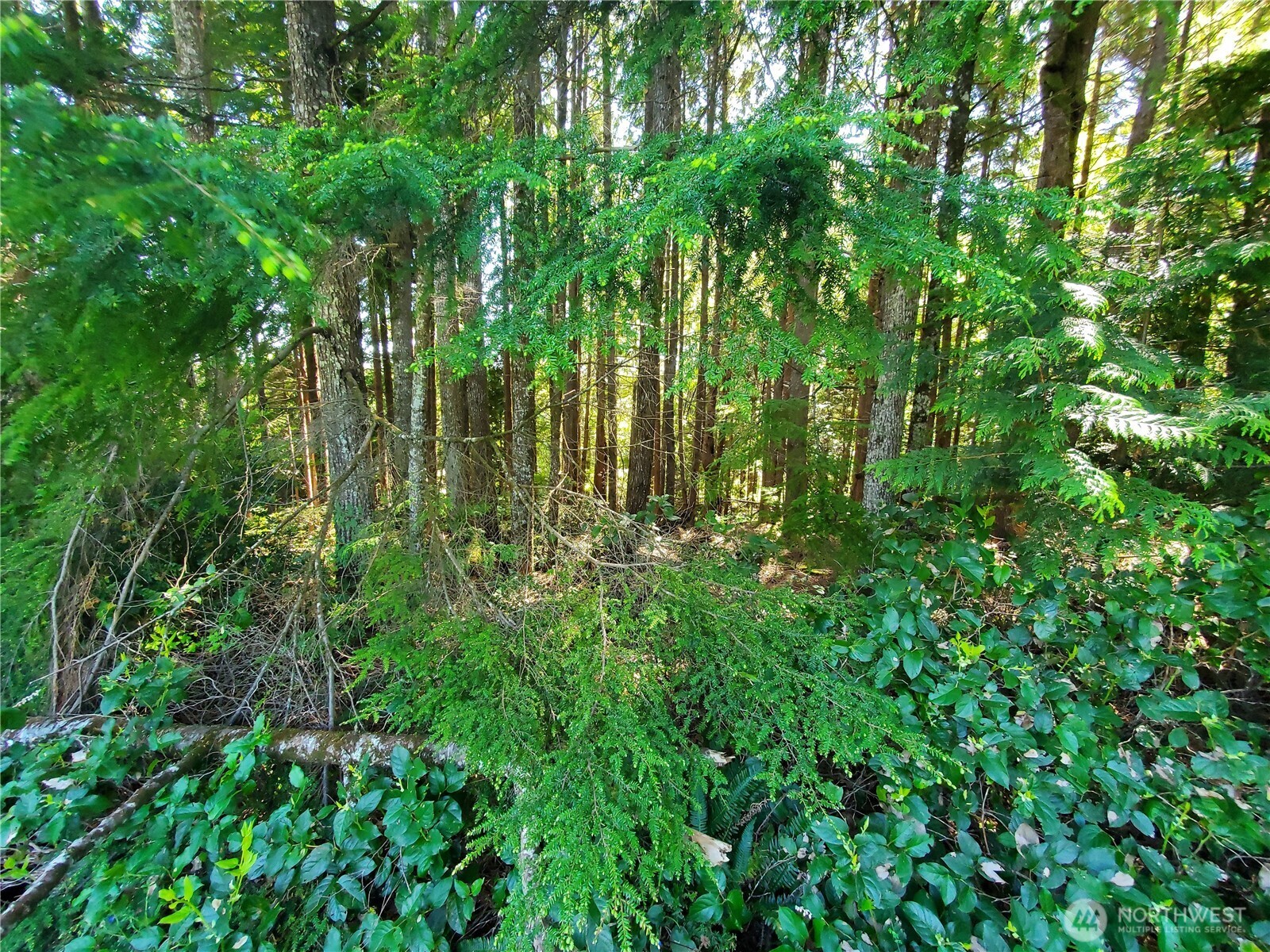 0 Bayview Lane Property Photo 15