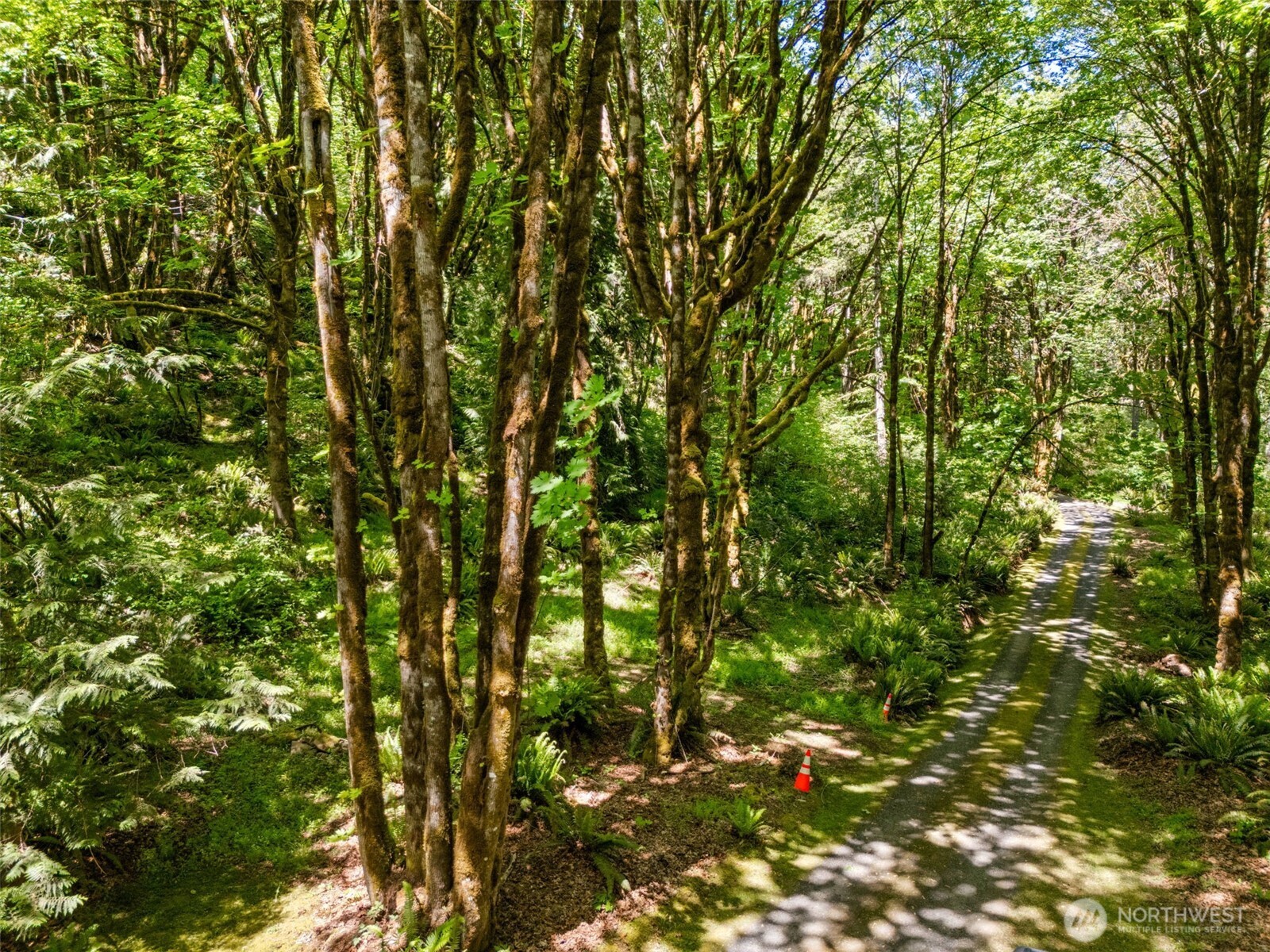 4937 Black Lake Boulevard Property Photo 3