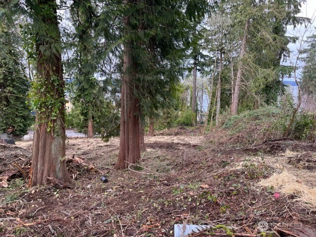 2009 Nisqually Street Property Photo 3