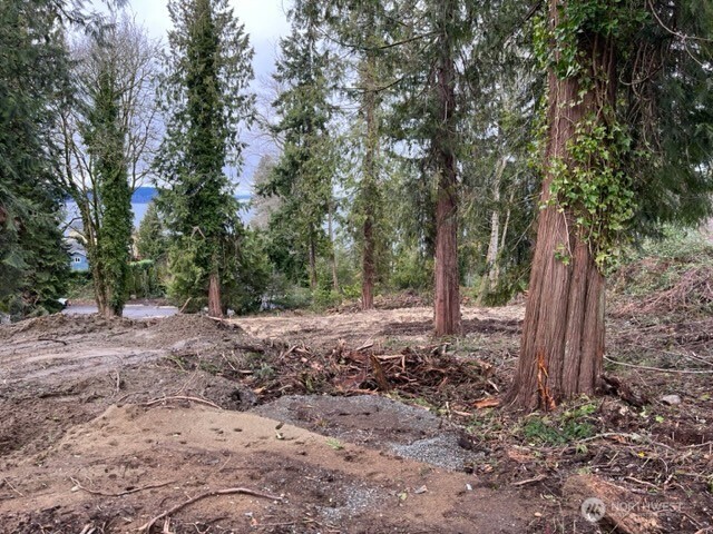 2009 Nisqually Street Property Photo 4