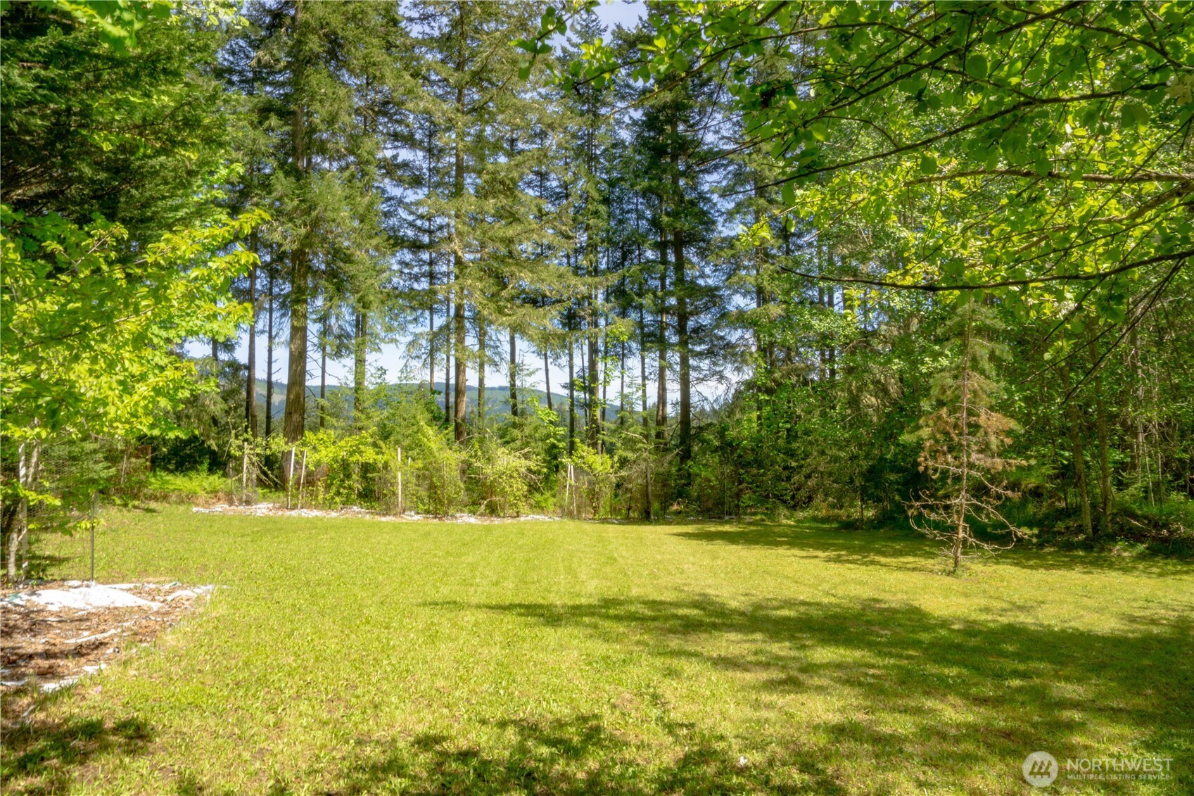 89 Slab Camp Road Property Photo 32
