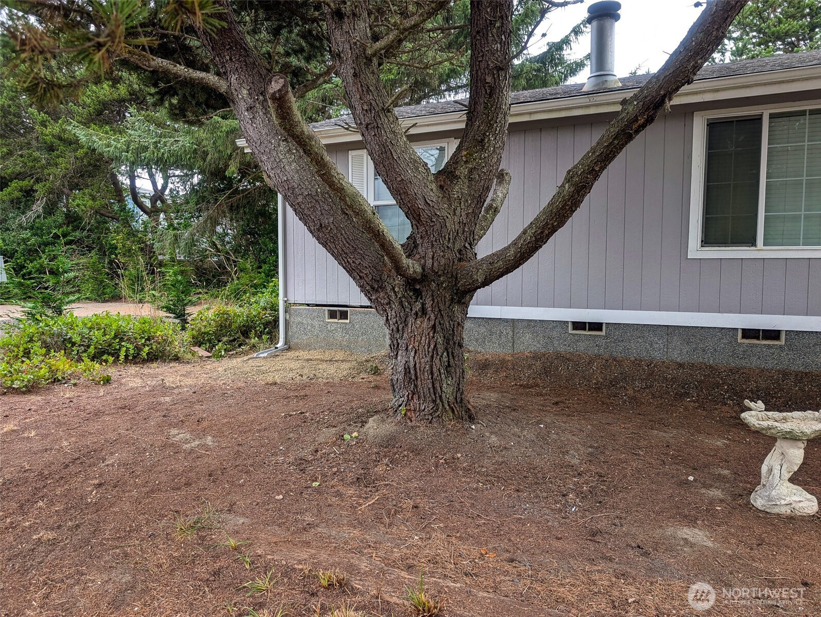 313 Ocean Shores Boulevard Property Photo 8
