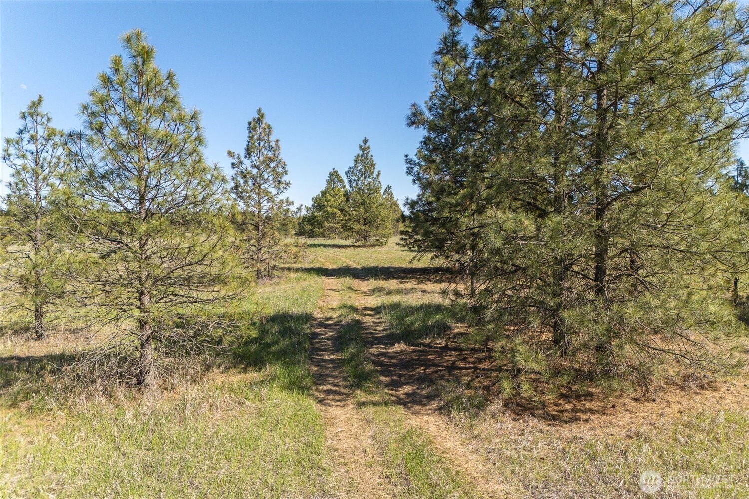 0 W Deno Road Lot 1 Property Photo 17