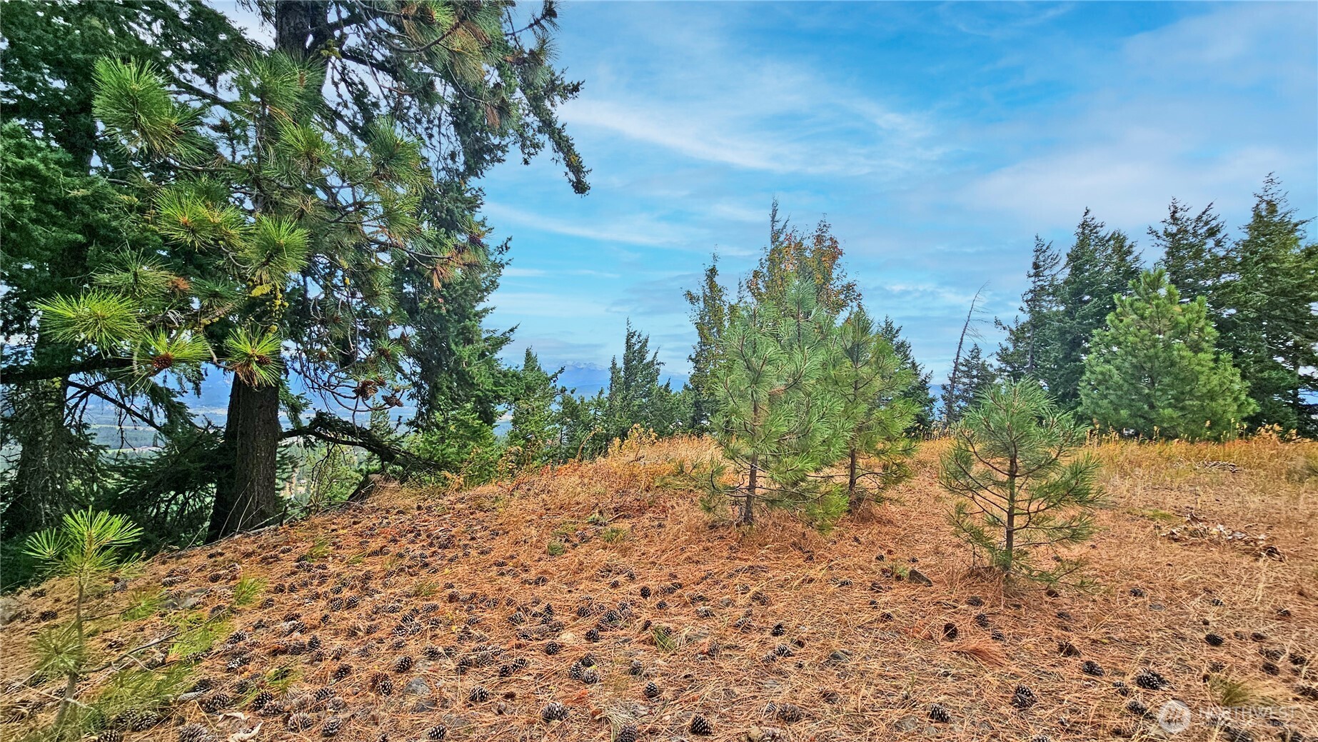 0 Lot 78 Skull Springs Road Property Photo 7