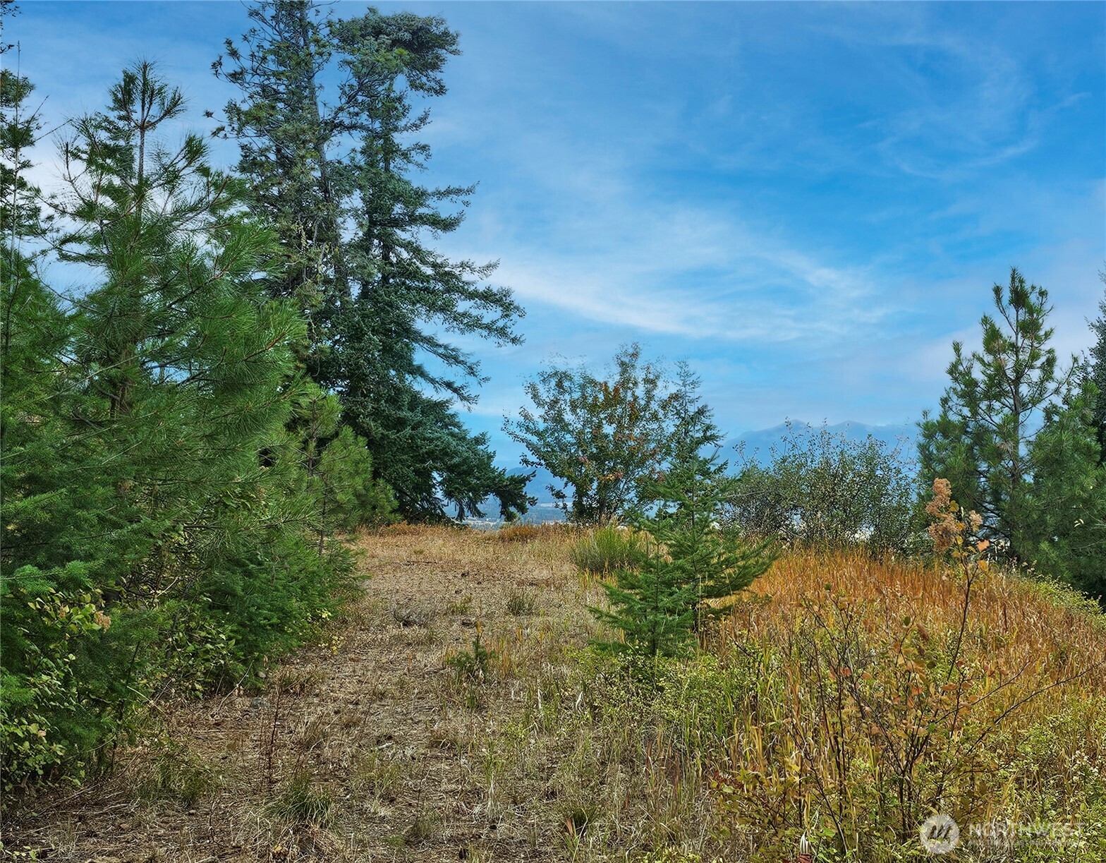 0 Lot 78 Skull Springs Road Property Photo 11