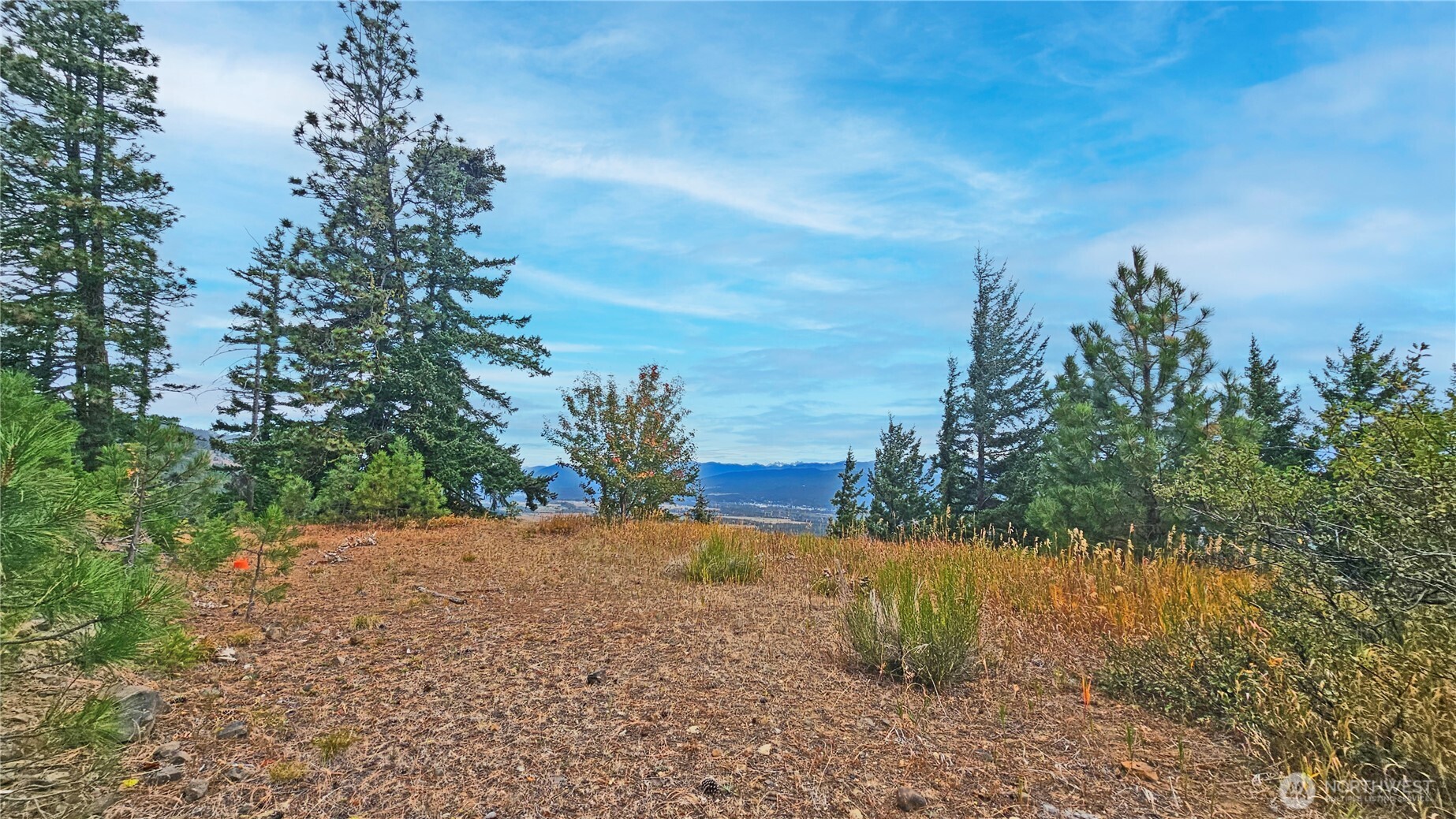 0 Lot 78 Skull Springs Road Property Photo 13