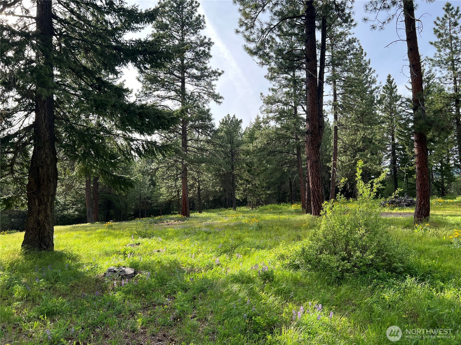 740 Sun Ridge Drive Property Photo 1