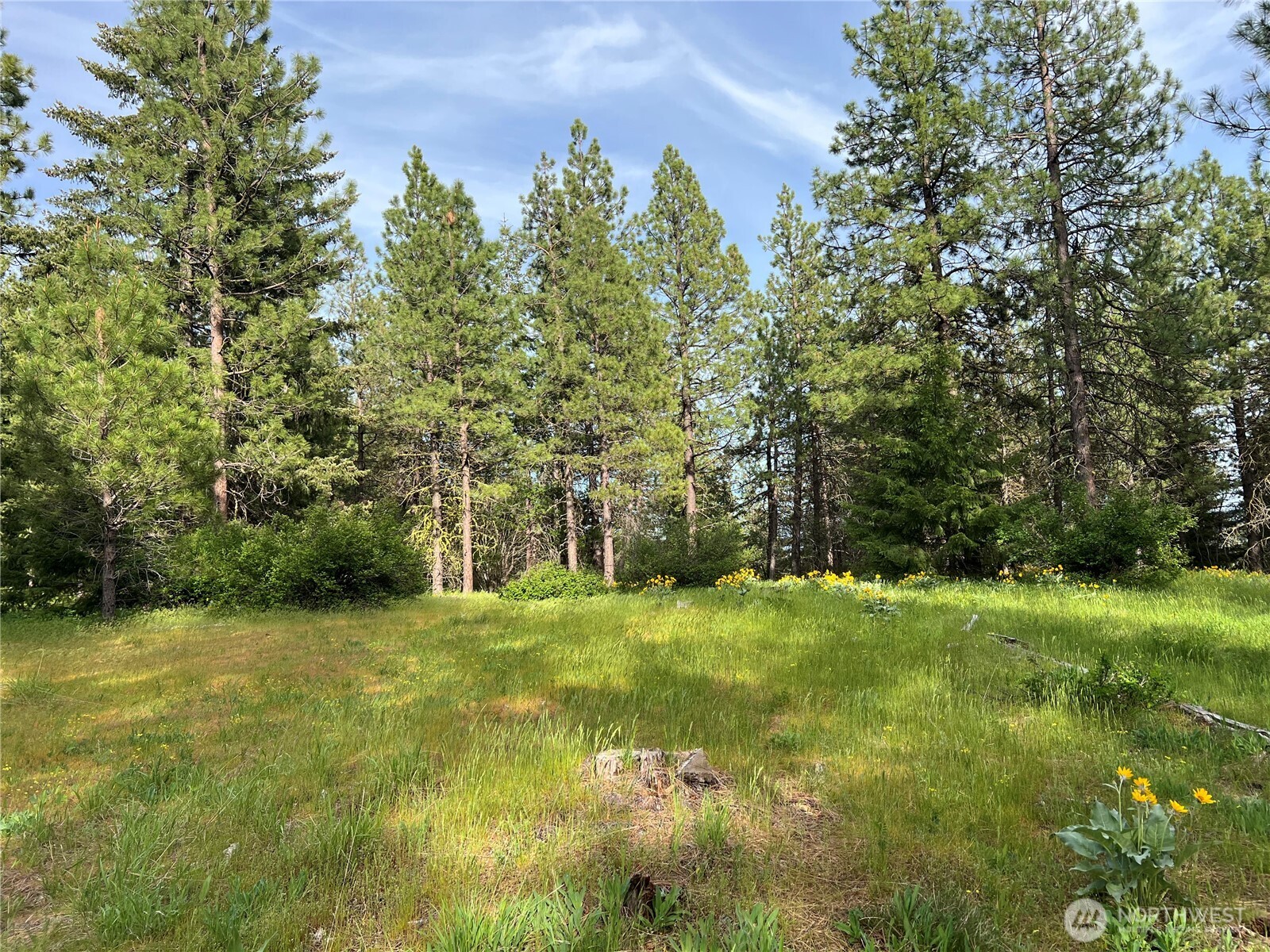 740 Sun Ridge Drive Property Photo 6