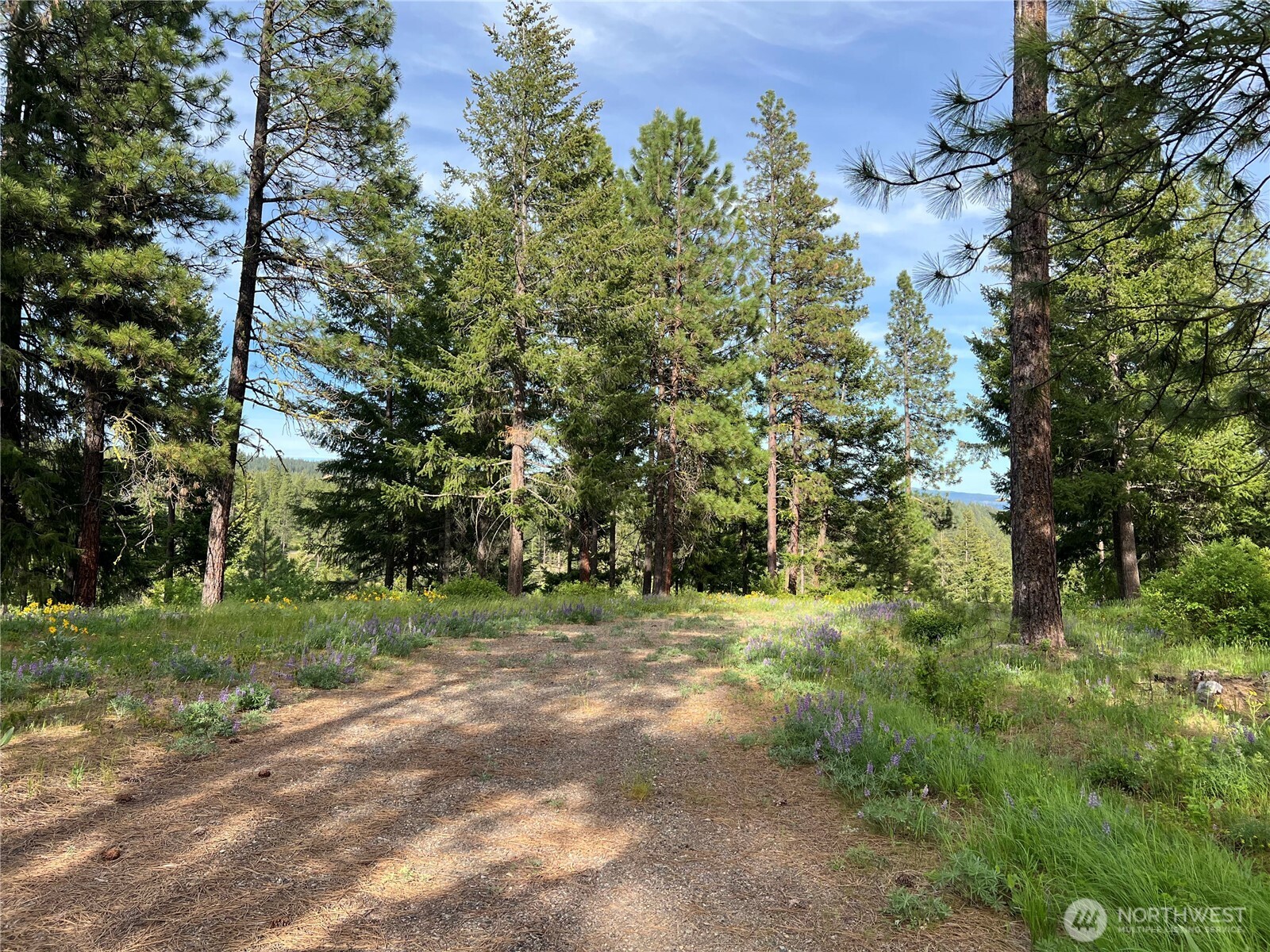 740 Sun Ridge Drive Property Photo 11