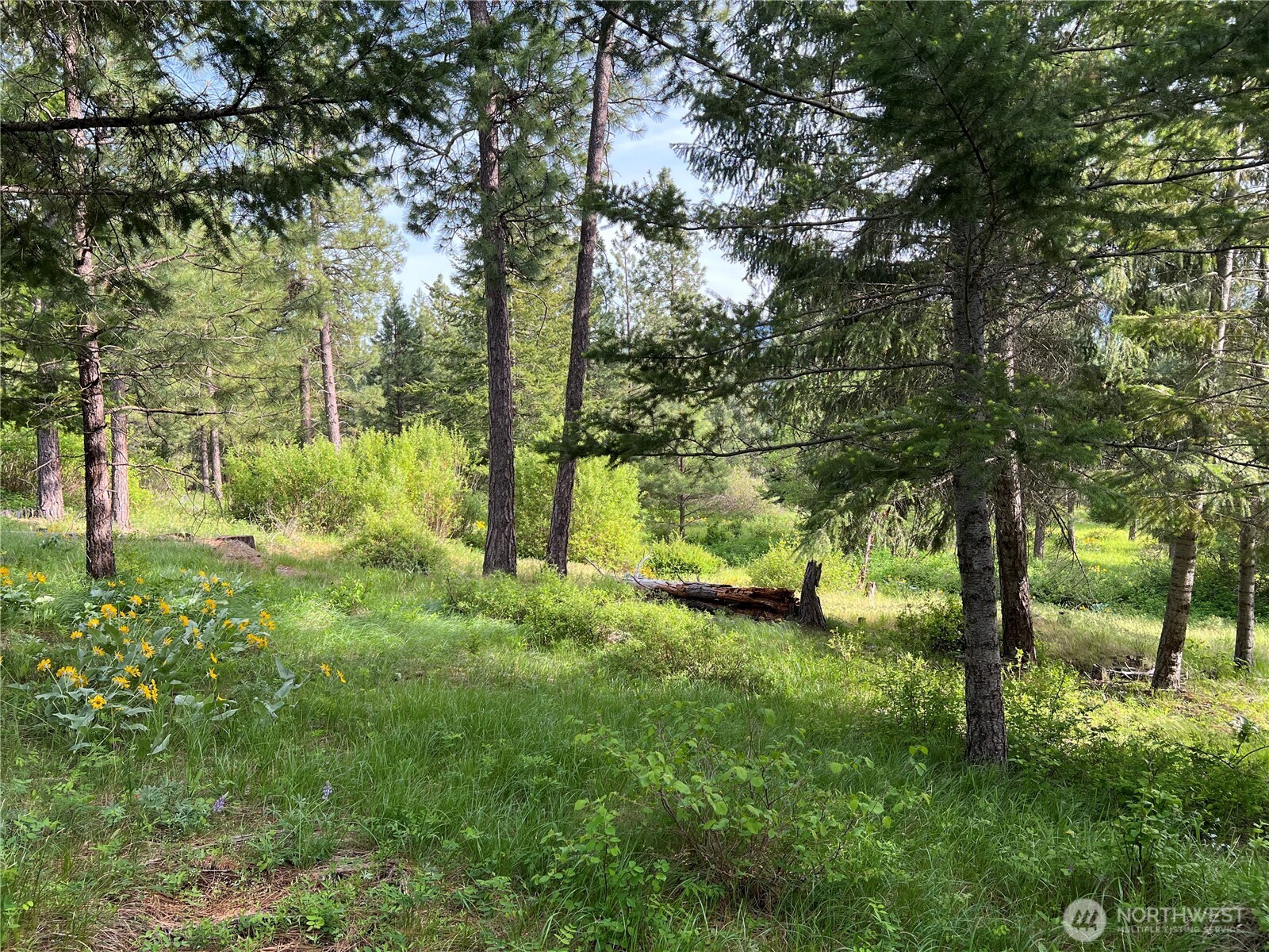 740 Sun Ridge Drive Property Photo 12