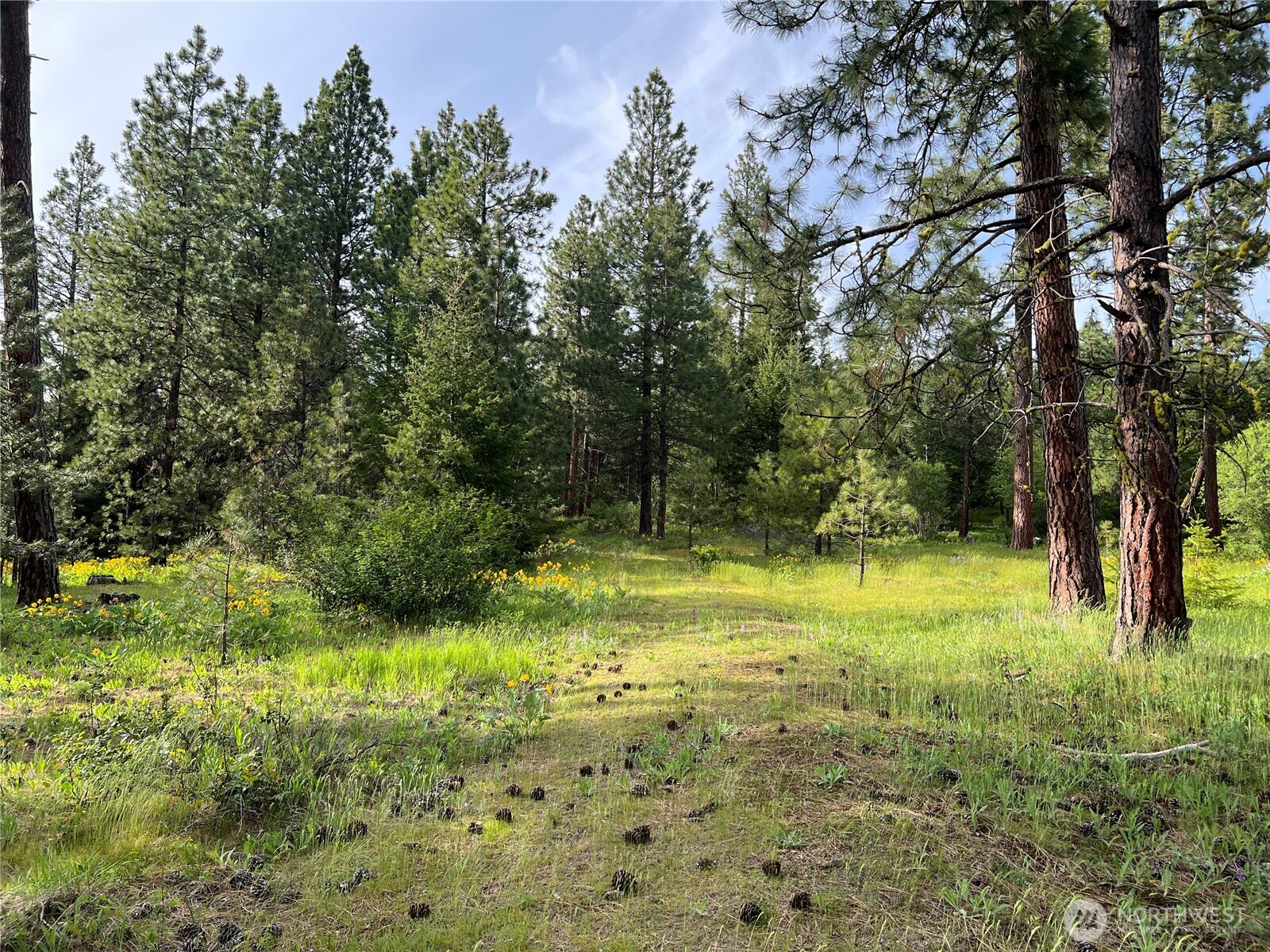 740 Sun Ridge Drive Property Photo 14
