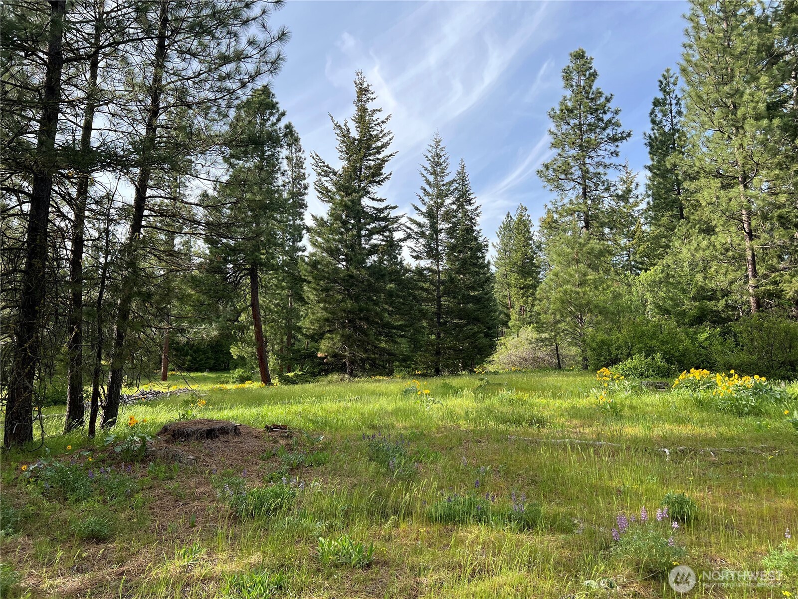 740 Sun Ridge Drive Property Photo 16