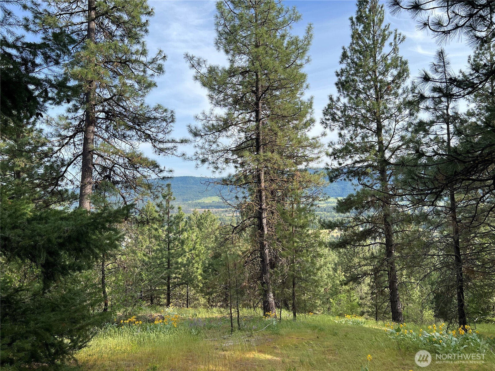 740 Sun Ridge Drive Property Photo 17