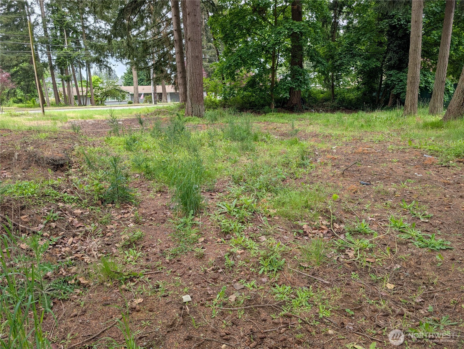 18501 Smokey Point Boulevard Property Photo 6