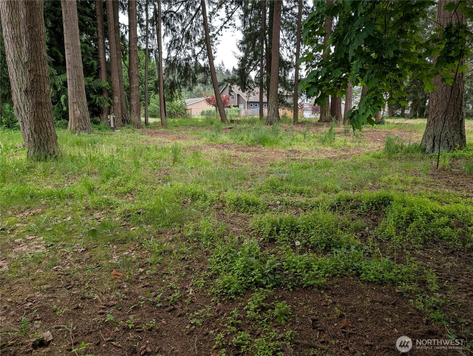 18501 Smokey Point Boulevard Property Photo 16