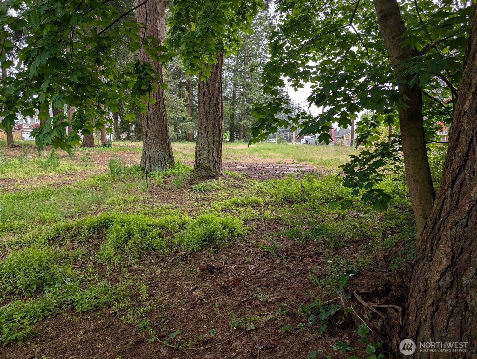 18501 Smokey Point Boulevard Property Photo 17