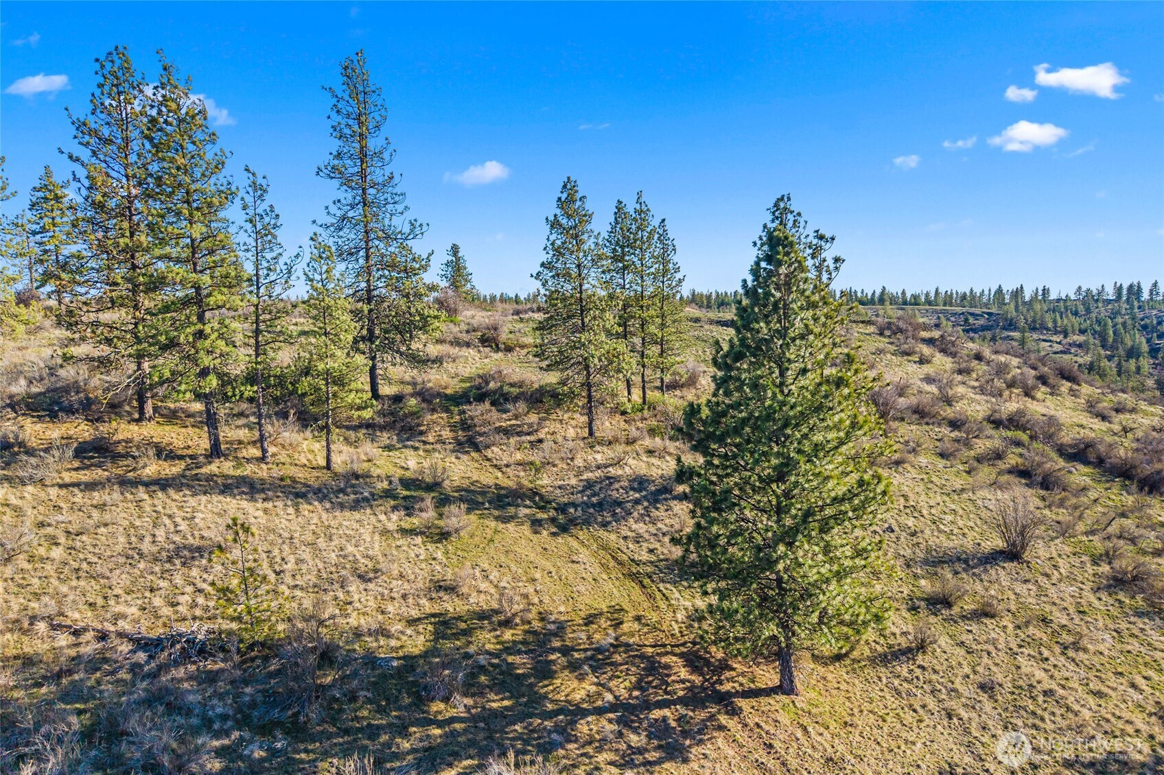 27220 Underwood Canyon Property Photo 1