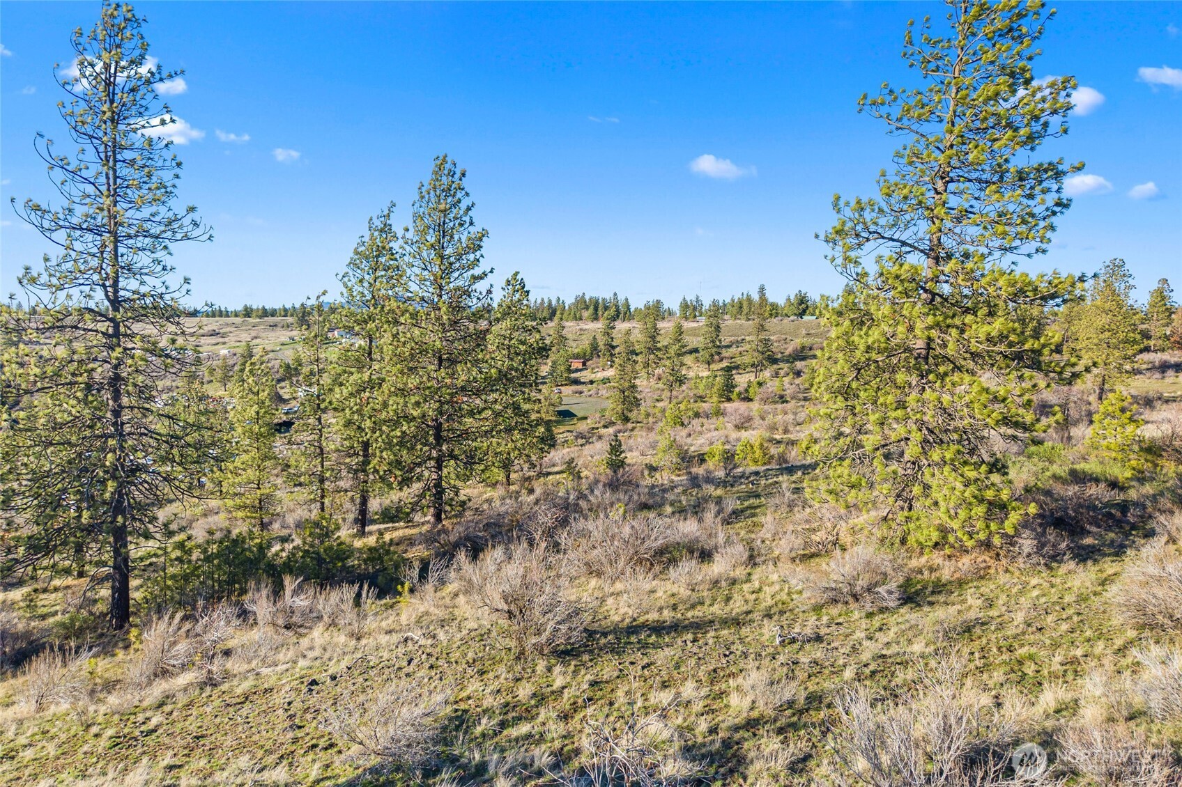 27220 Underwood Canyon Property Photo 2
