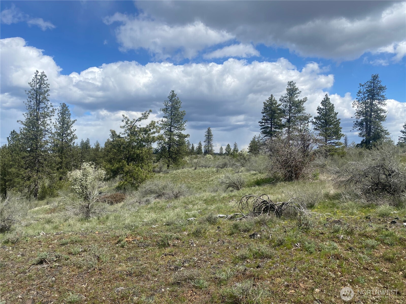27220 Underwood Canyon Property Photo 3