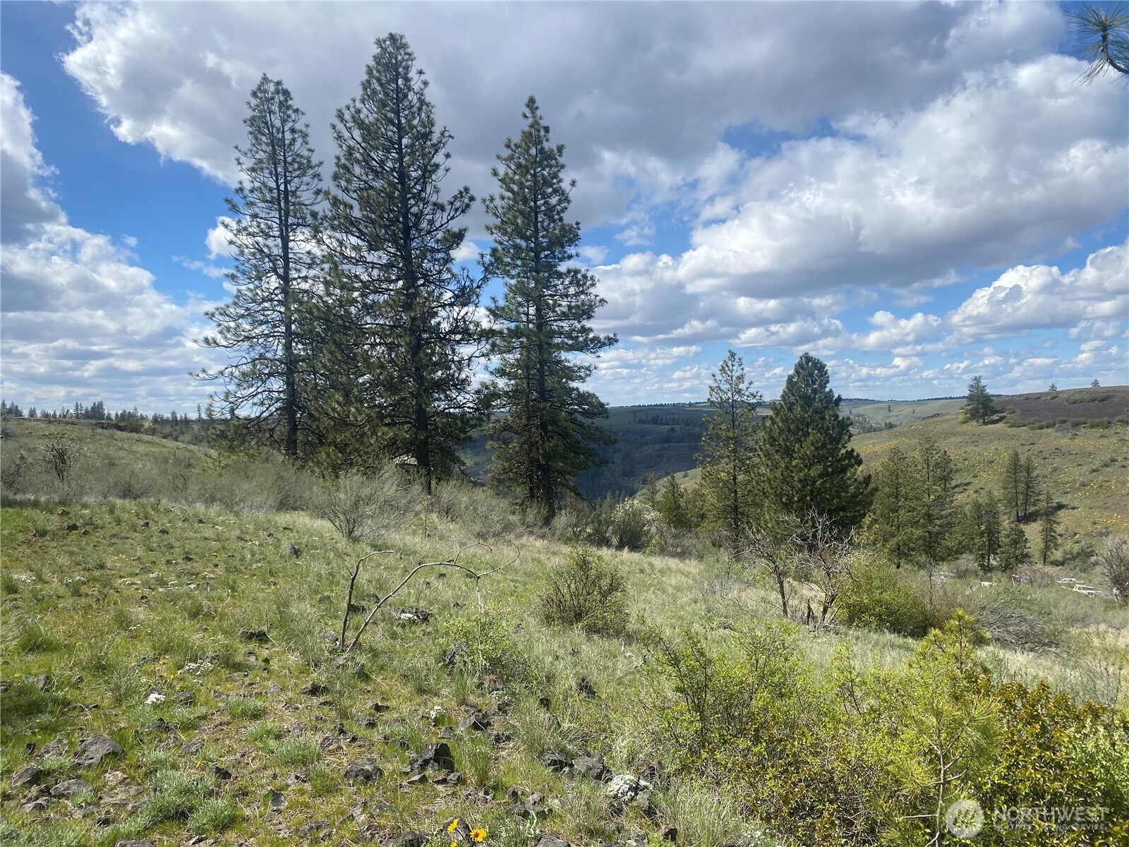 27220 Underwood Canyon Property Photo 4
