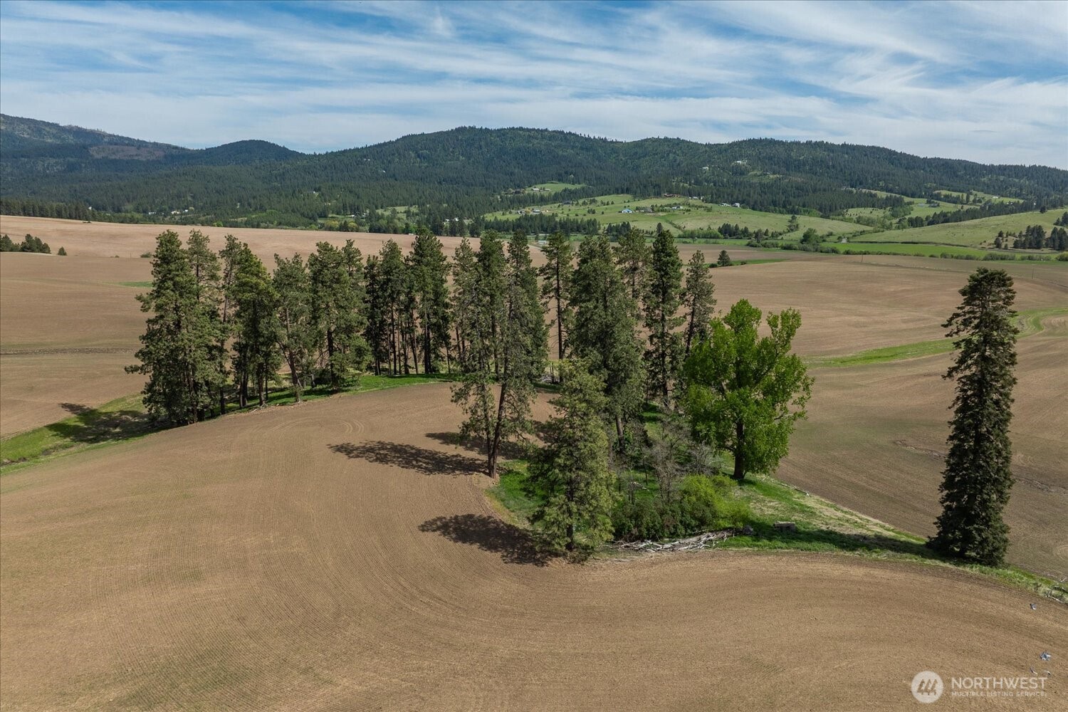 0 Xxx Jackson Road Lot 17 Property Photo 19