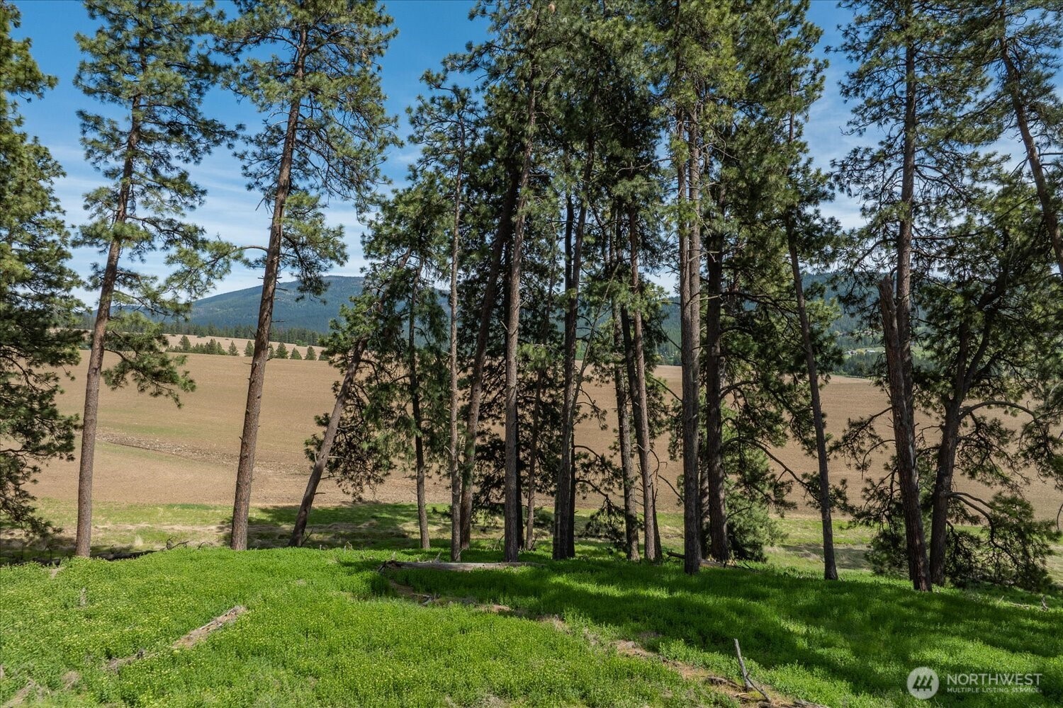 0 Xxx Jackson Road Lot 17 Property Photo 21