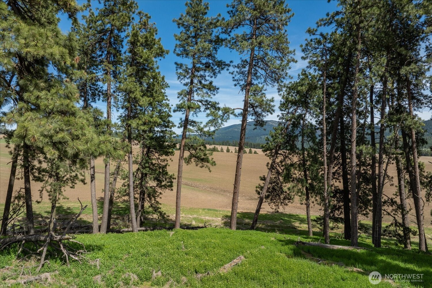 0 Xxx Jackson Road Lot 17 Property Photo 22
