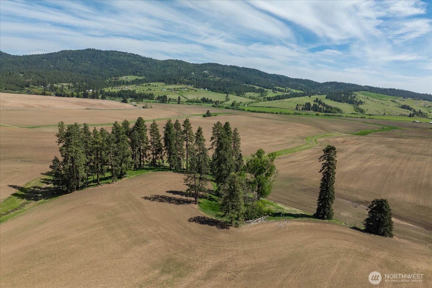 0 Xxx Jackson Road Lot 17 Property Photo 26