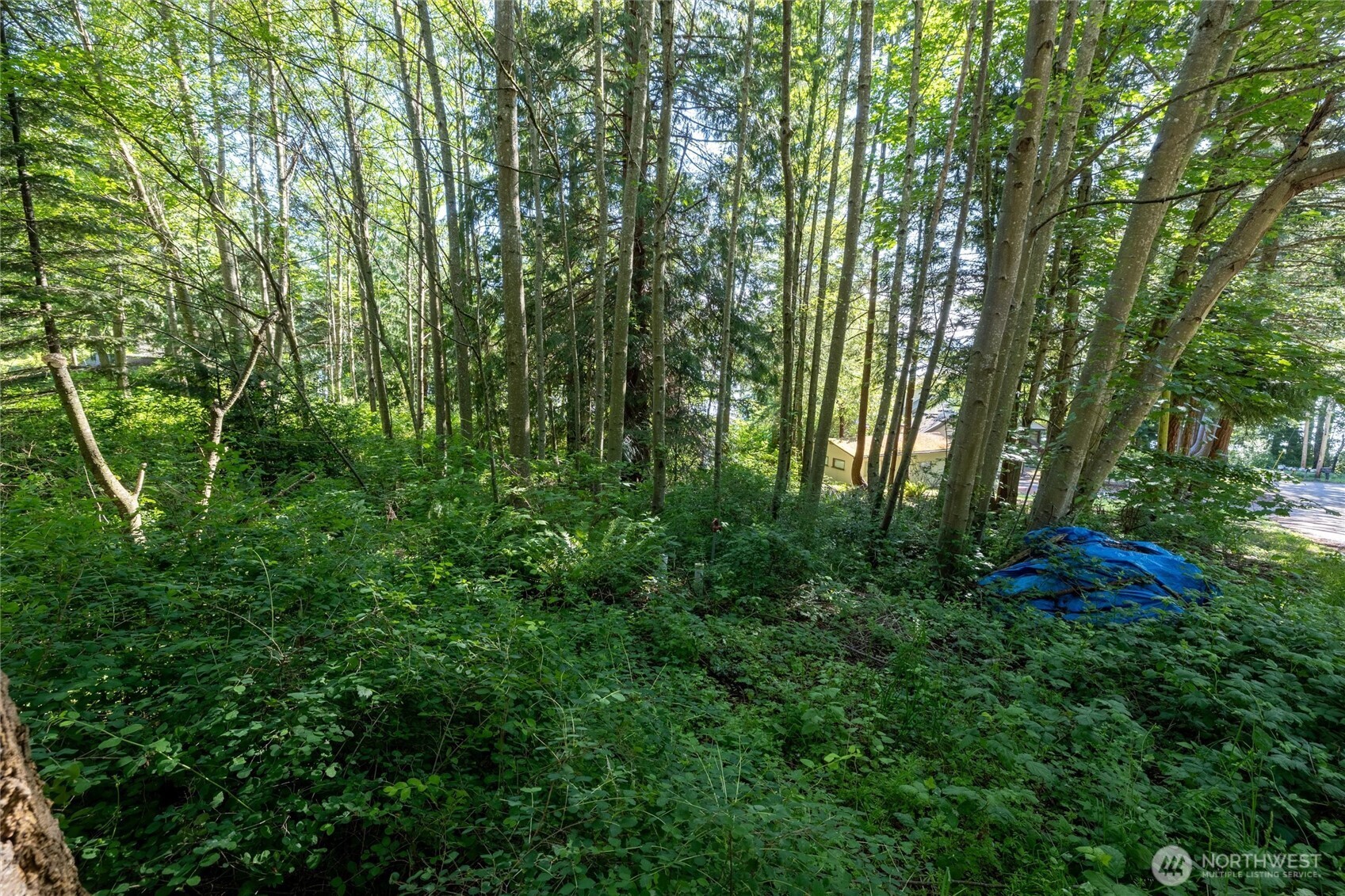 2868 Cedar Avenue Property Photo 5