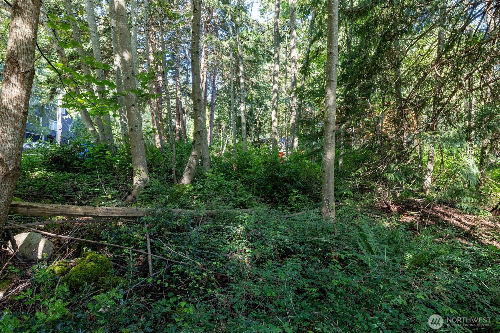 2868 Cedar Avenue Property Photo 7