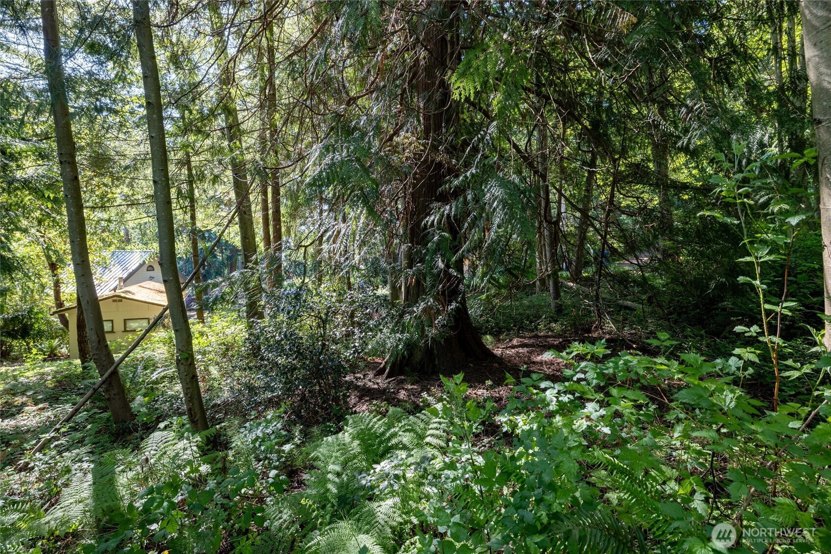 2868 Cedar Avenue Property Photo 9
