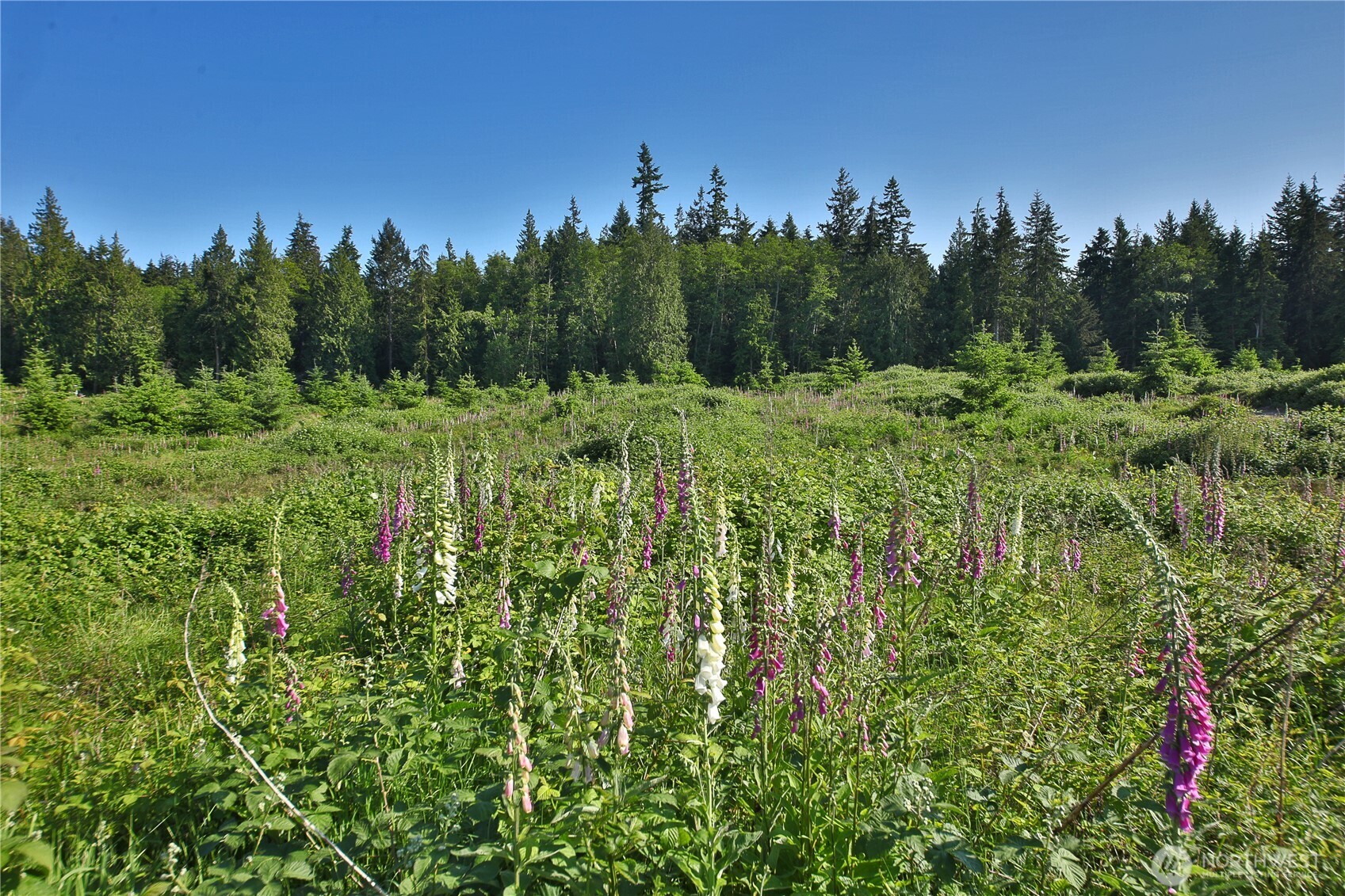 2062 Goodell Road Property Photo 1