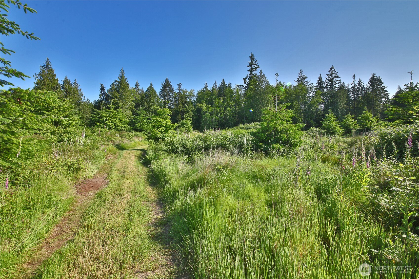 2062 Goodell Road Property Photo 2
