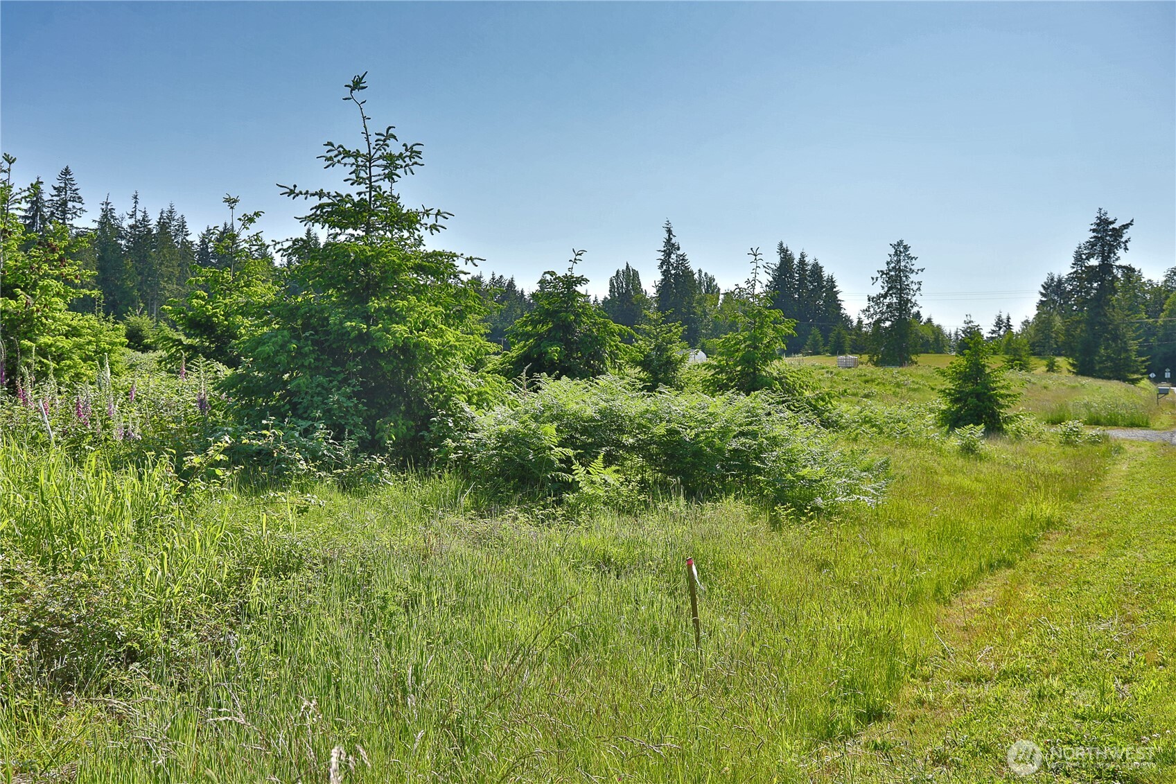 2062 Goodell Road Property Photo 4
