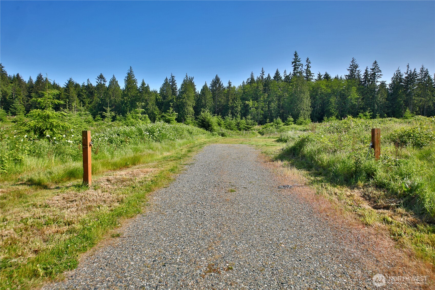 2062 Goodell Road Property Photo 5