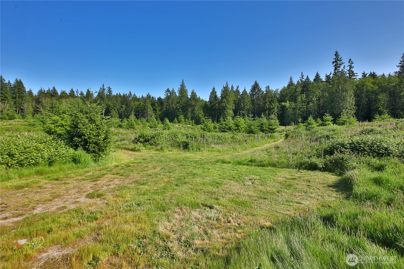 2062 Goodell Road Property Photo 6