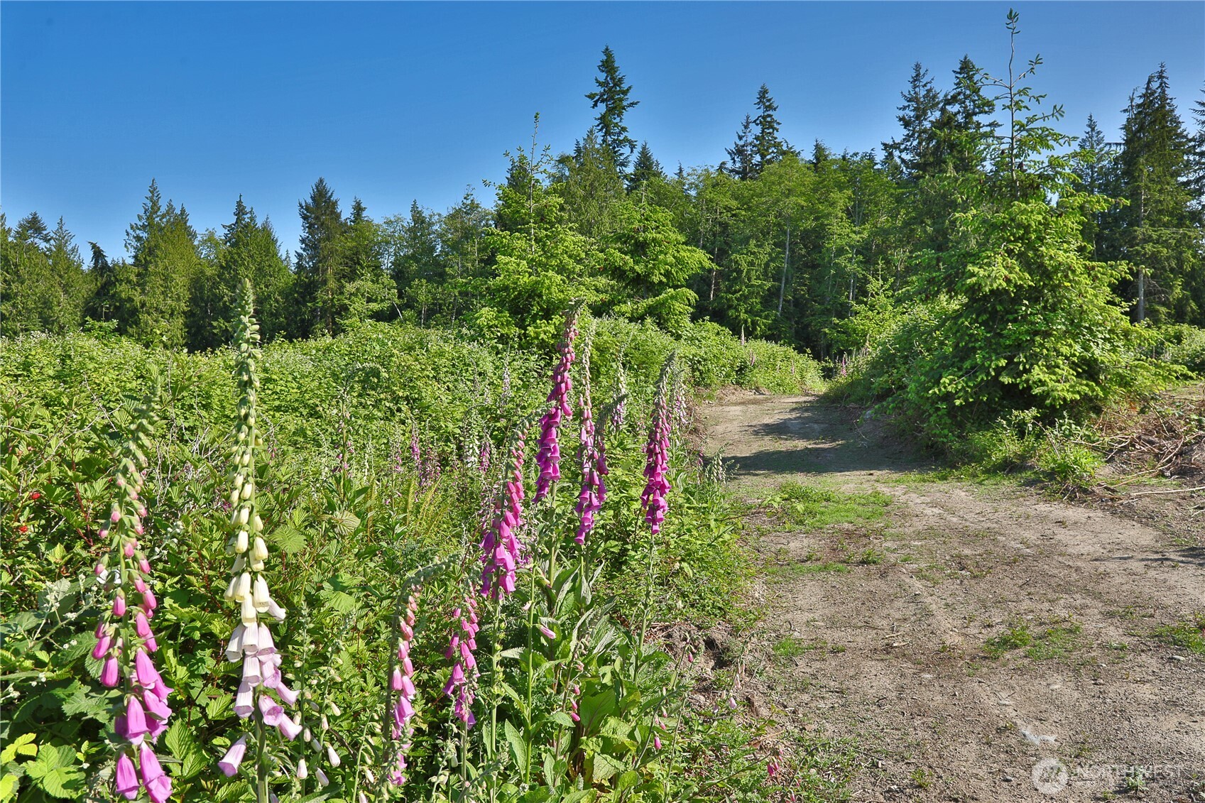2062 Goodell Road Property Photo 7