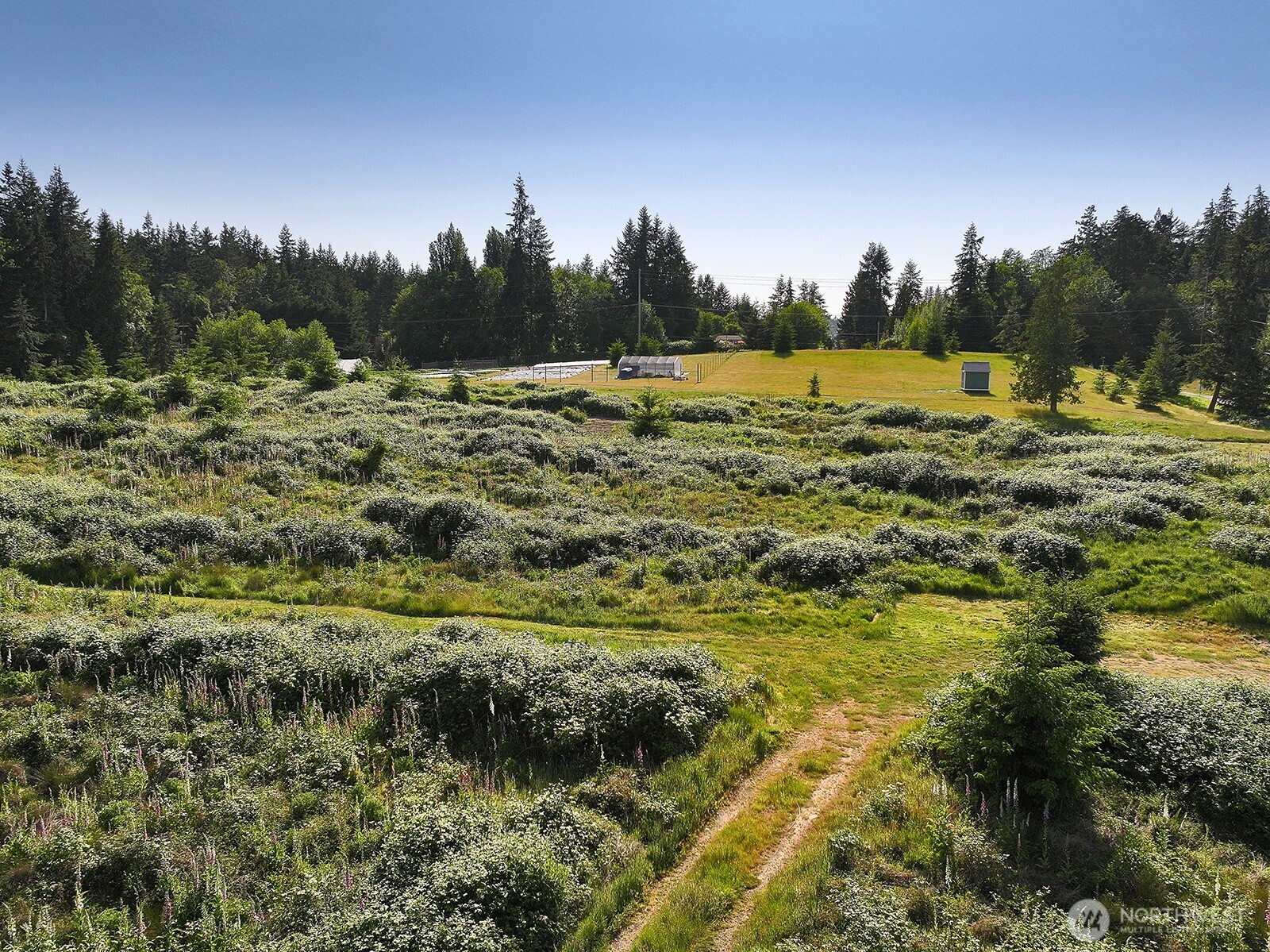2062 Goodell Road Property Photo 8