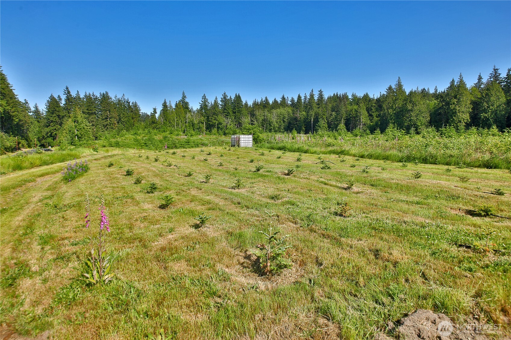 2062 Goodell Road Property Photo 10